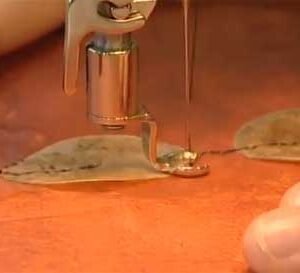Video Tutorial: Quilting with textile artist Di Wells